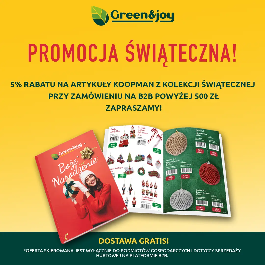 Promocja świąteczna!
