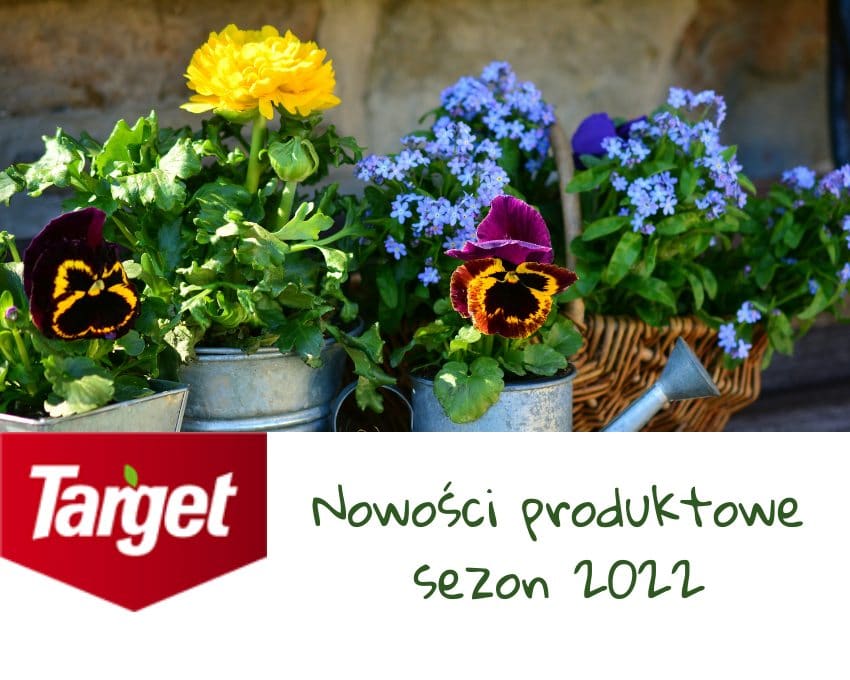 kwiatki, nowości produktowe - Target