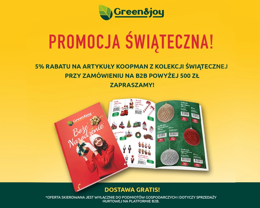 Promocja świąteczna!